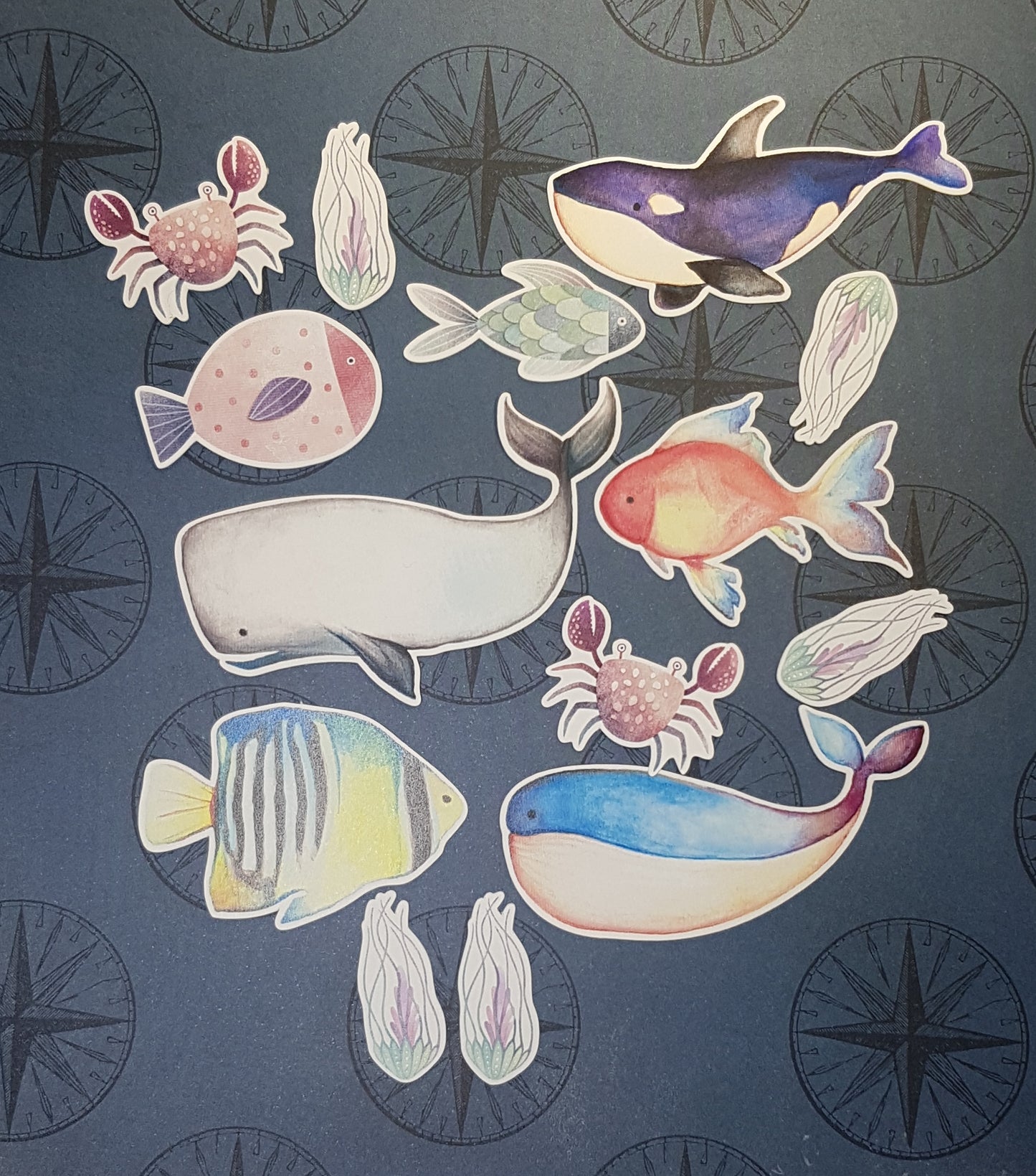 Ocean Life Die Cut Packs