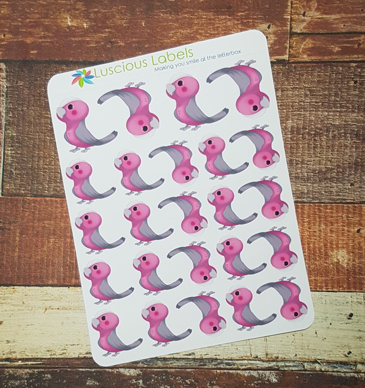 Galah Stickers
