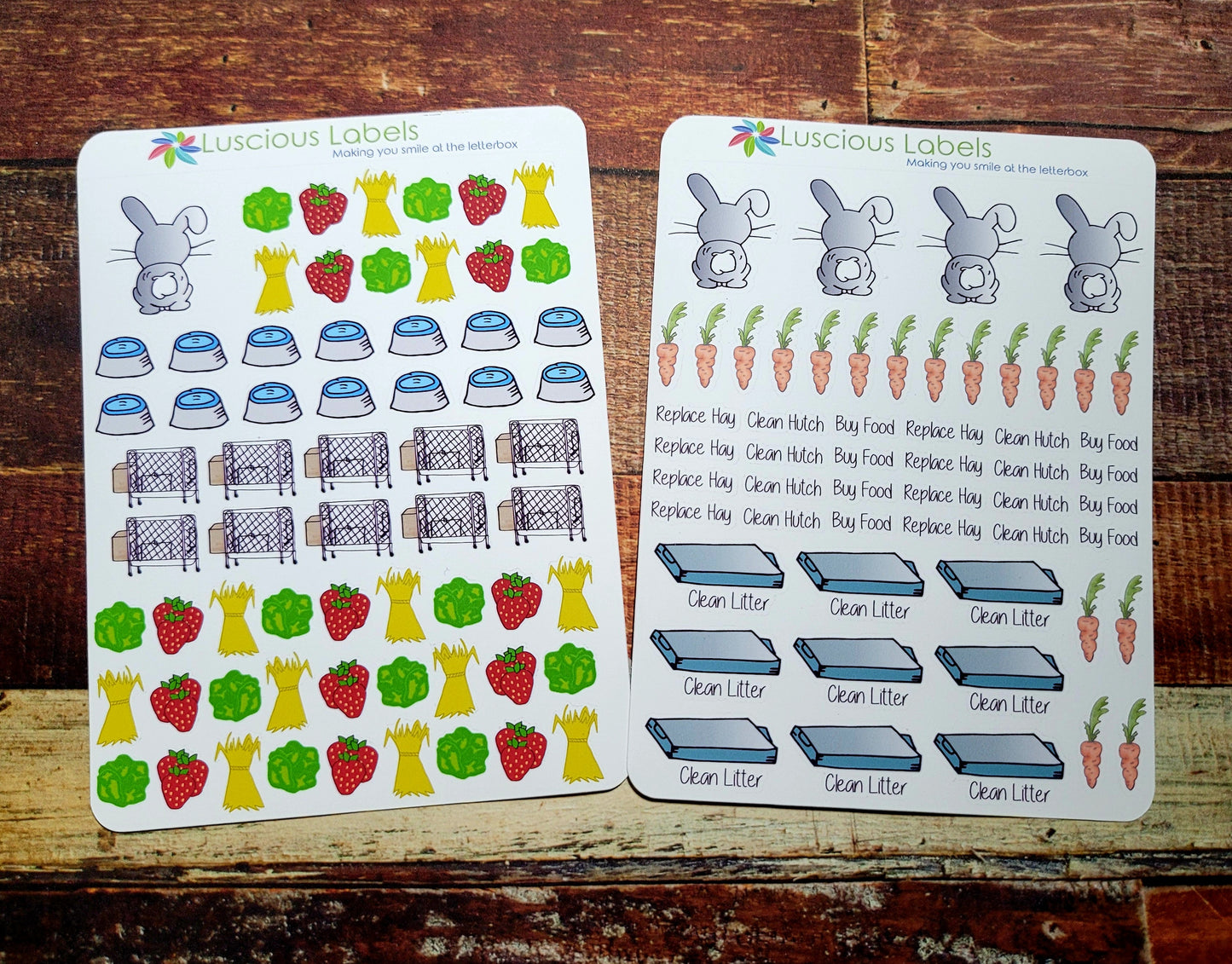 Rabbit Care Kit Carrots Hutch