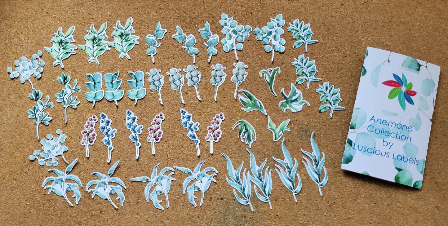 Anemone Die Cut Packs