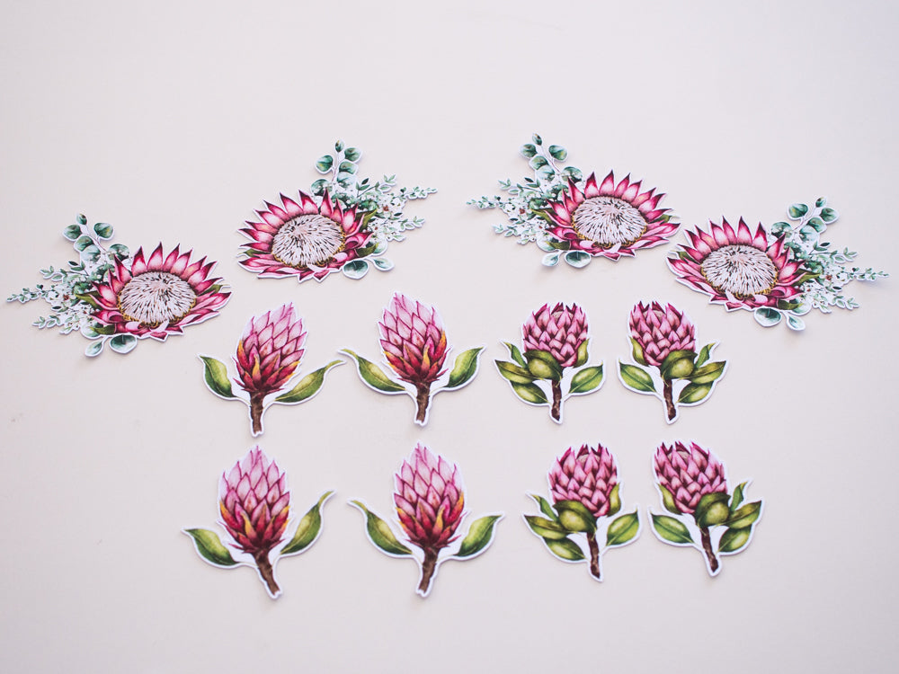 Painted Protea Die Cut Packs