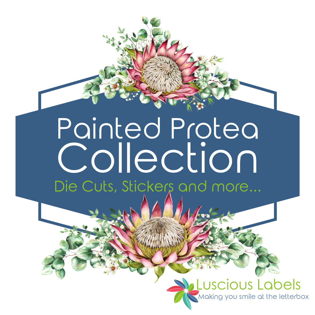 Painted Protea Die Cut Packs