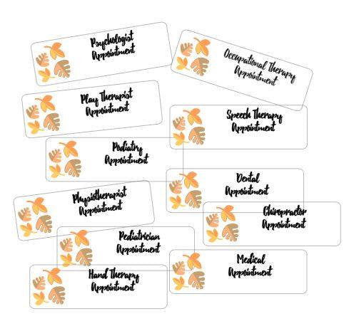 Custom Allied Health, Specialist Appointment Stickers