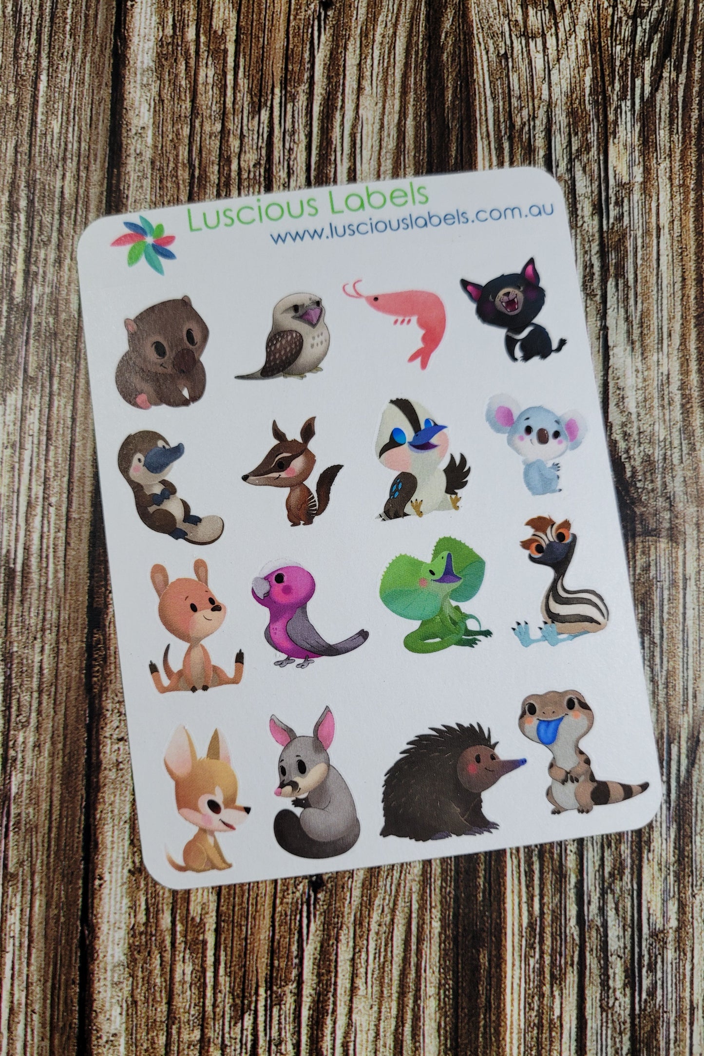 Aussie Animal Sampler
