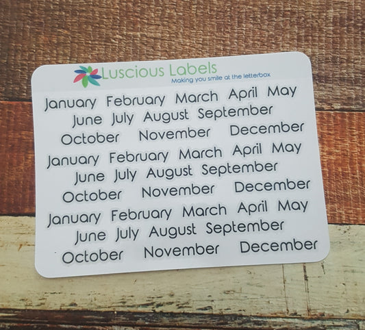Month Stickers- suitable for most inserts OP58