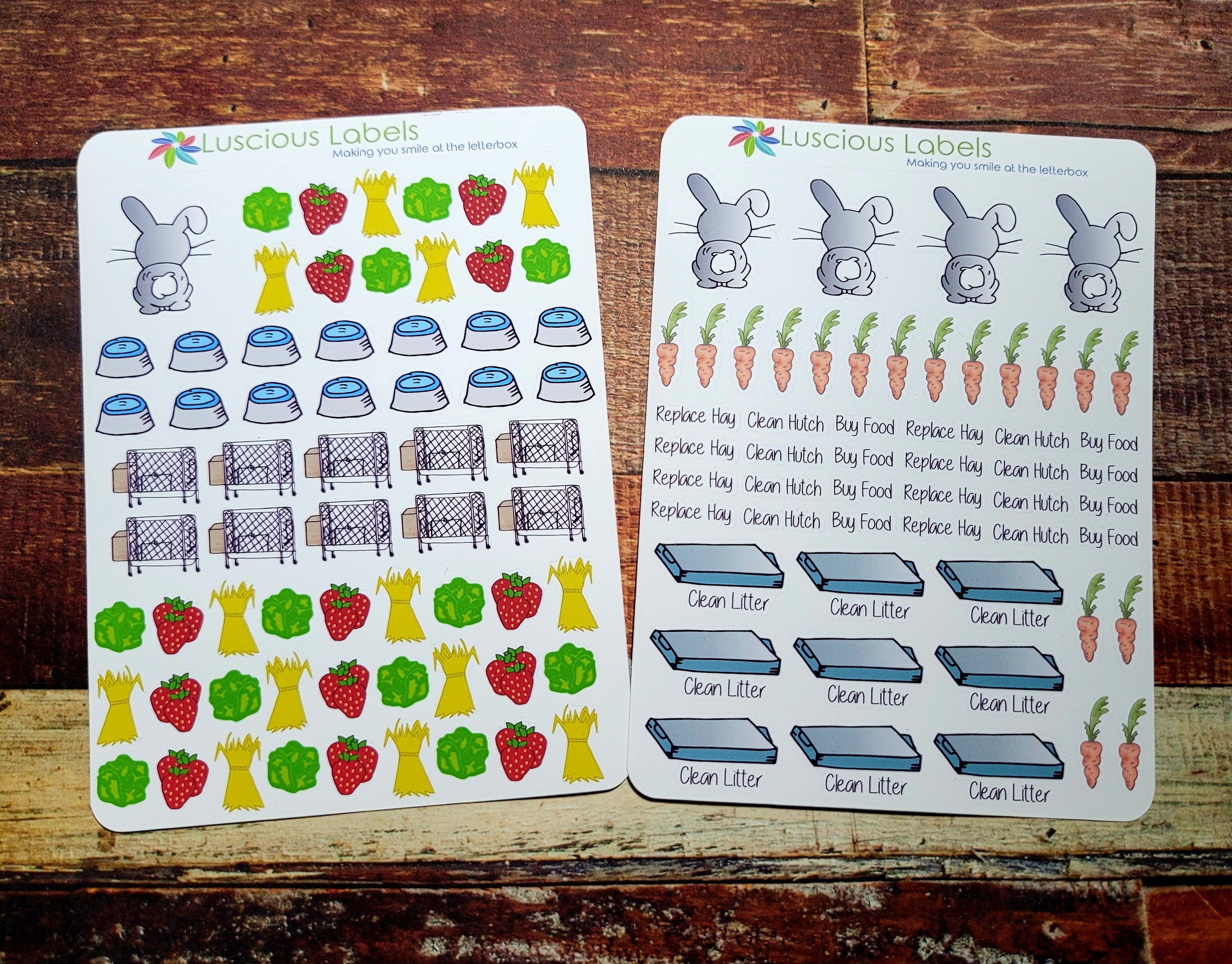 Rabbit Care Kit Carrots Hutch – Luscious Labels